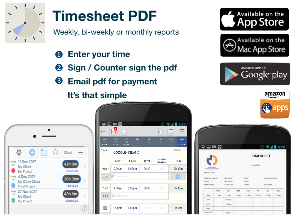 Timesheet PDF
